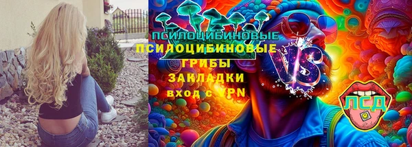 ПСИЛОЦИБИНОВЫЕ ГРИБЫ Нягань