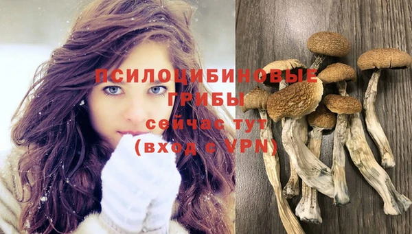 стафф Остров