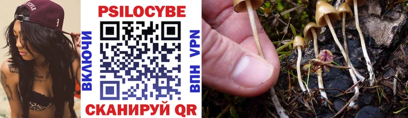 Купить где  Яранск  Галлюциногенные грибы Psilocybine cubensis 
